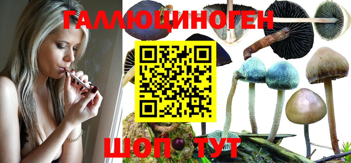 Галлюциногенные грибы MAGIC MUSHROOMS Железногорск